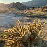 Review photo of Culp Valley Primitive Campground — Anza-Borrego Desert State Park by J M., January 27, 2022