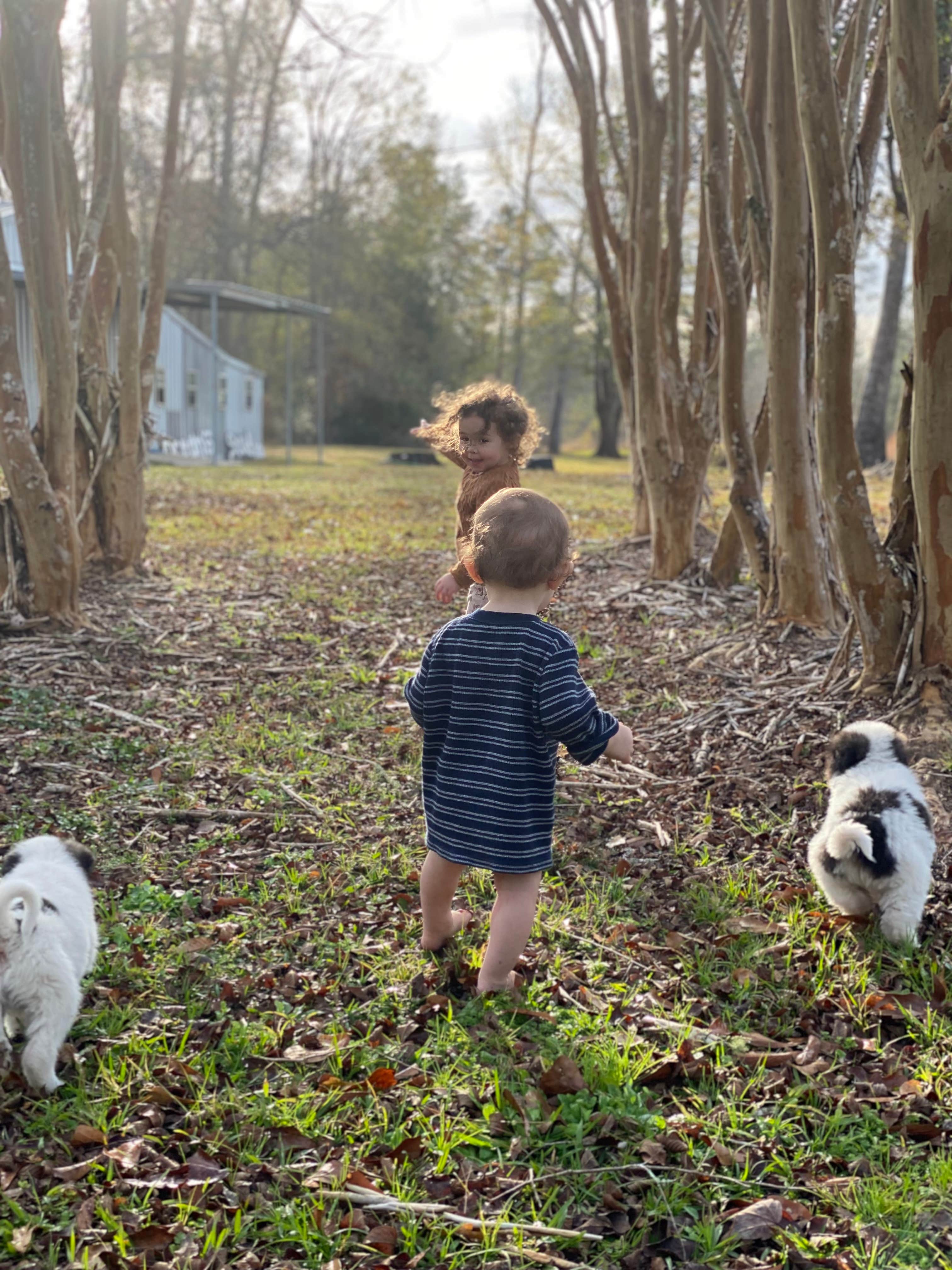 Snow White Sanctuary