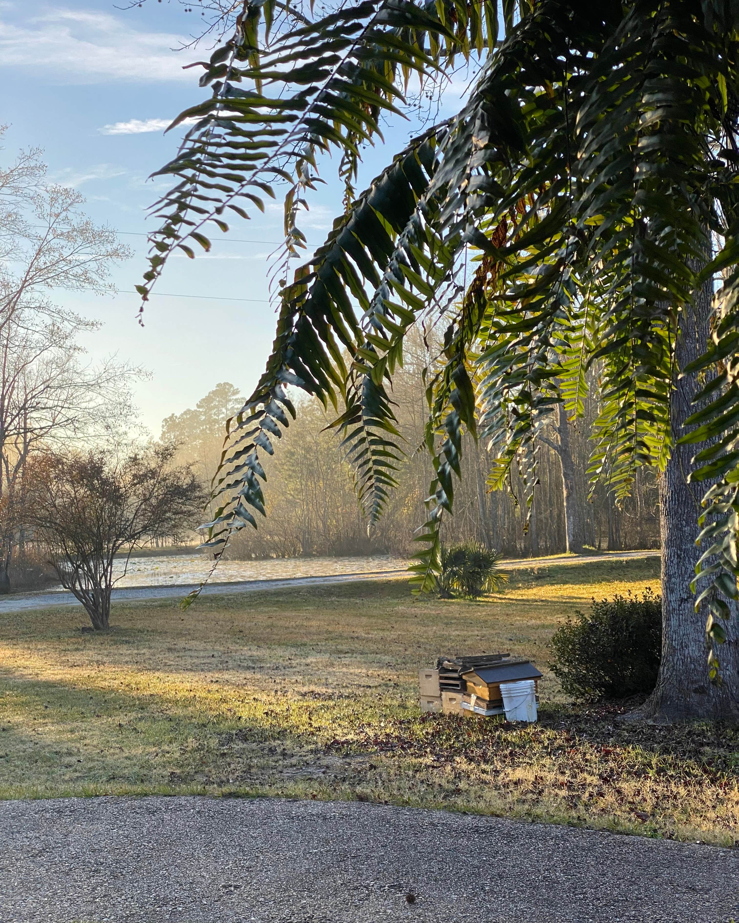 Camper-submitted photo at Snow White Sanctuary near Orange, TX