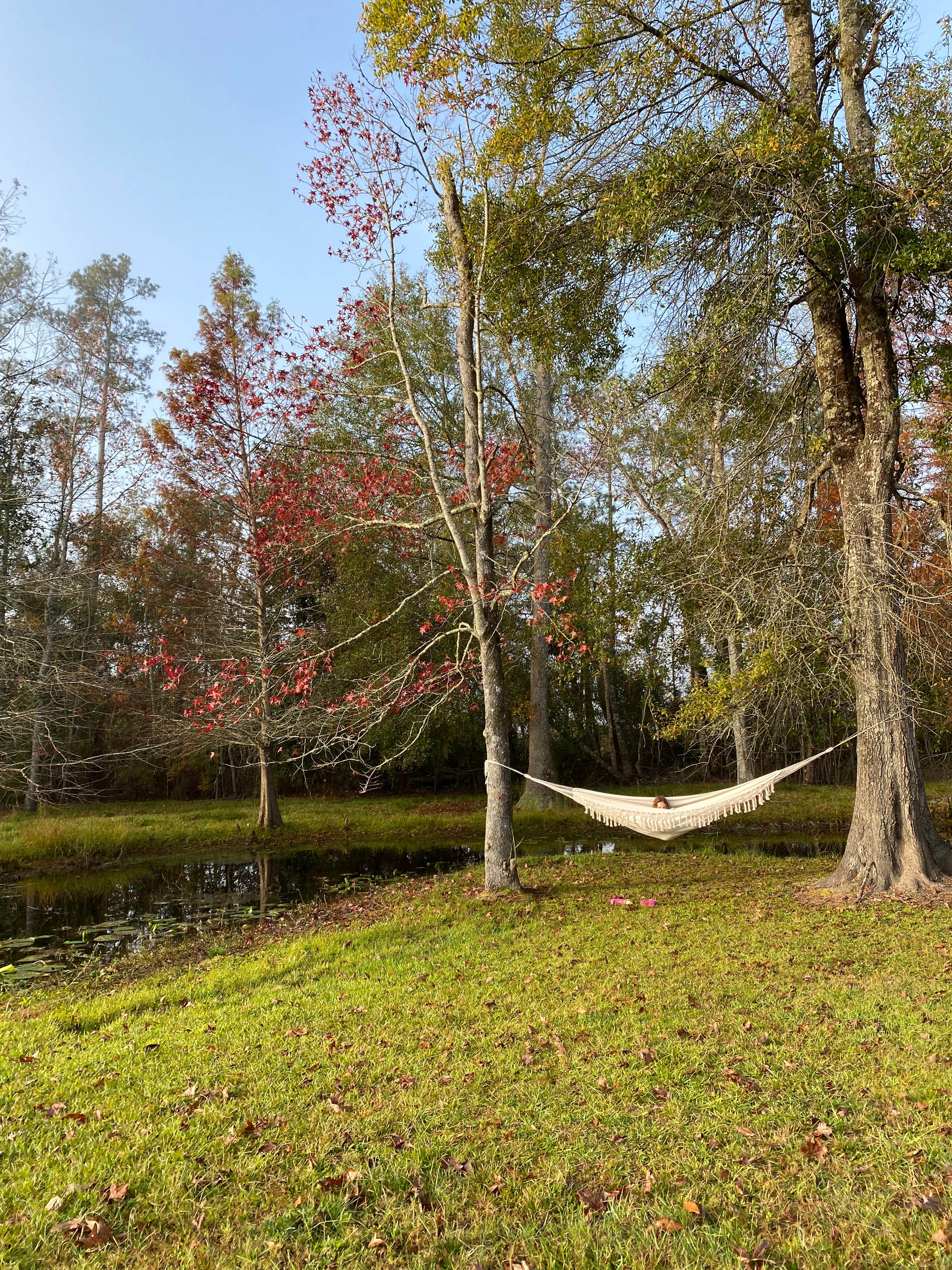 Camper-submitted photo at Snow White Sanctuary near Orange, TX