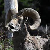 Review photo of Fern Lake — Yellowstone National Park by Deanna C., July 9, 2018