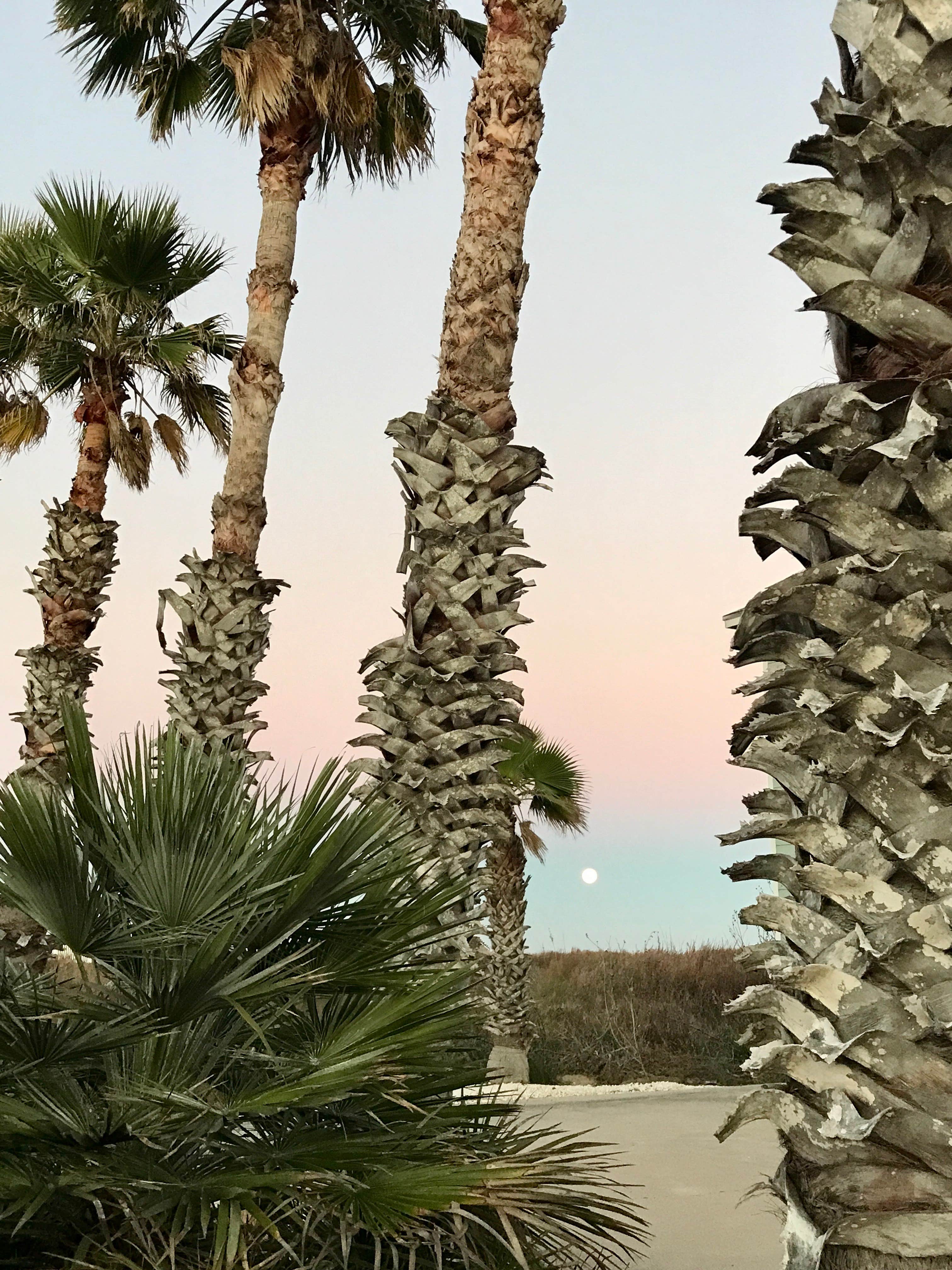 Camper-submitted photo at Gulf Waters RV Resort near Corpus Christi, TX