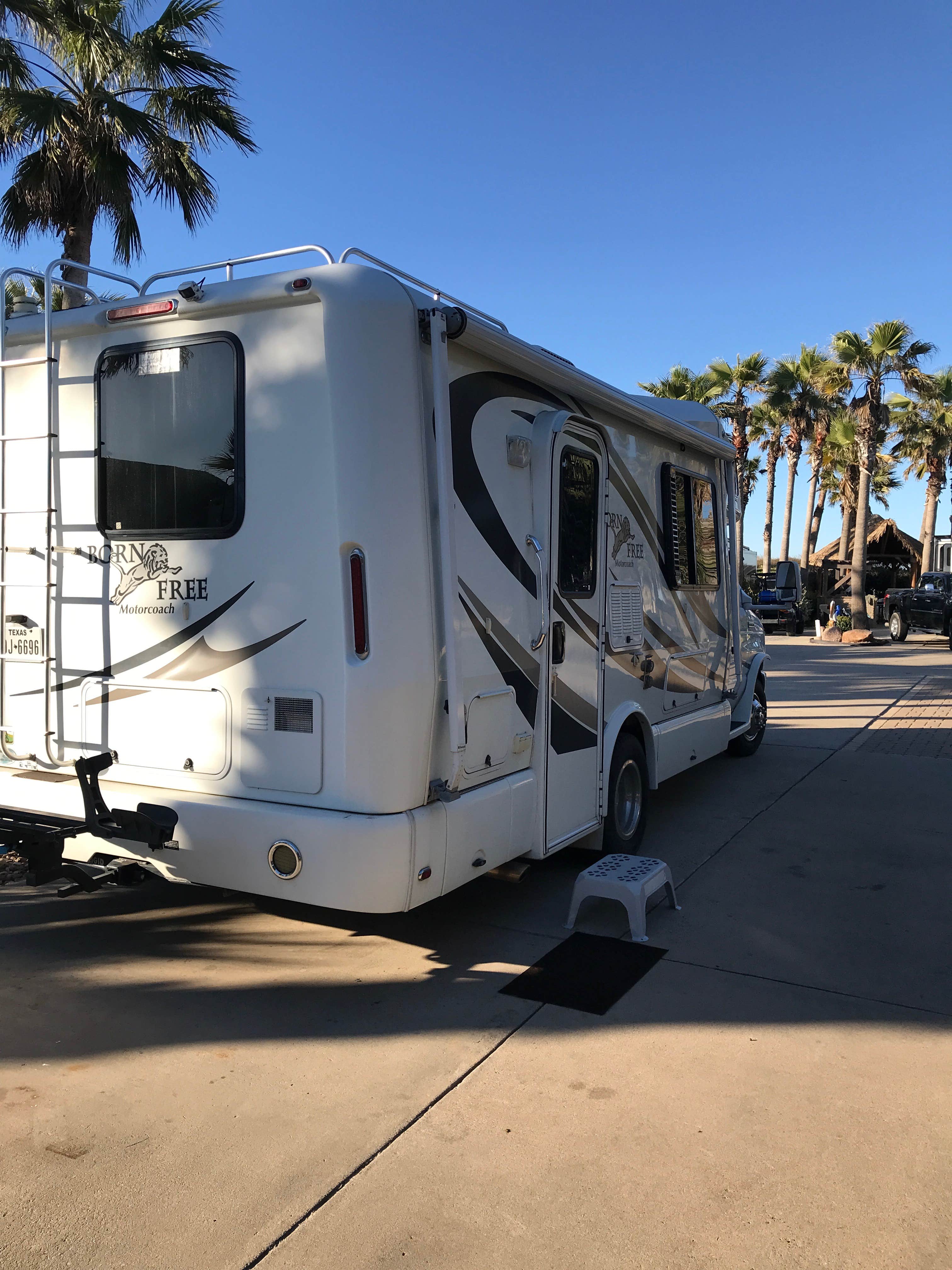 Camper submitted image from Gulf Waters RV Resort - 1