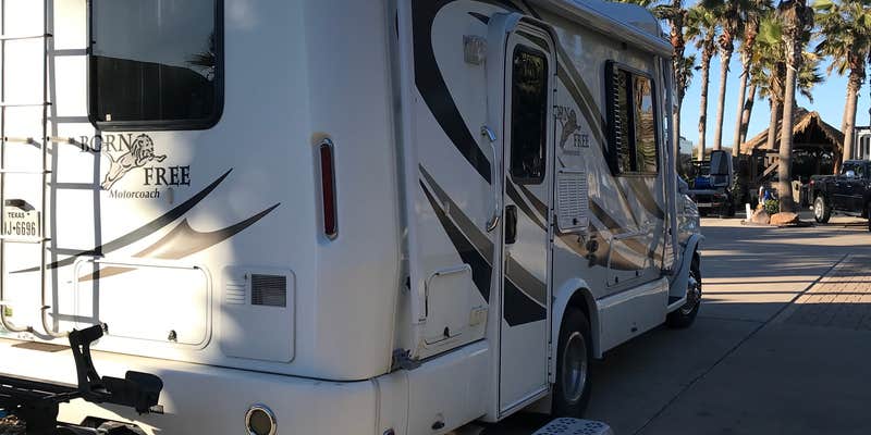 Camper submitted image from Gulf Waters RV Resort