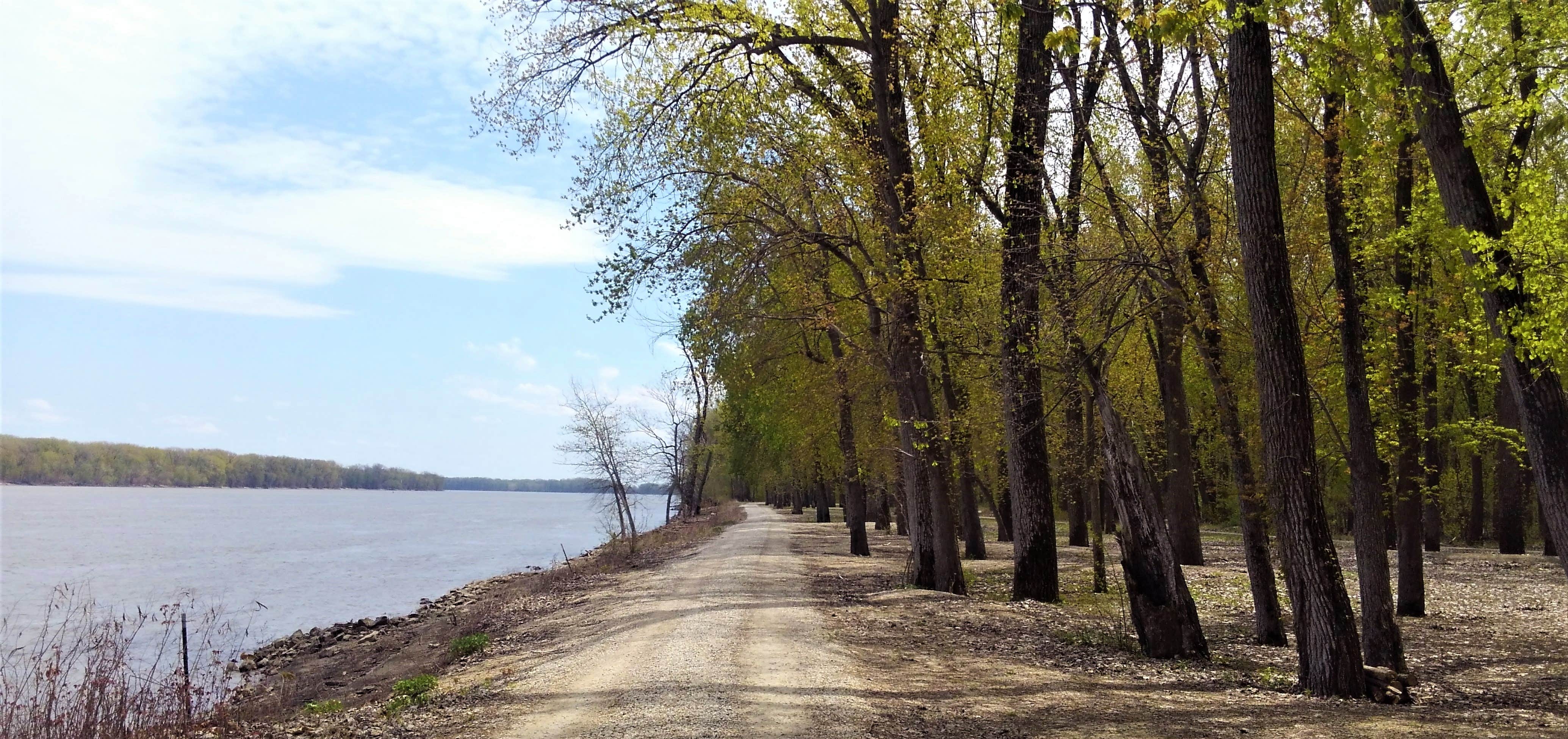 Camper-submitted photo at Dupont Reservation Conservation Area near Louisiana, MO