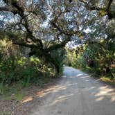Review photo of Cayo Costa State Park Campground by Jim , January 28, 2022