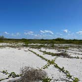 Review photo of Cayo Costa State Park Campground by Jim , January 28, 2022