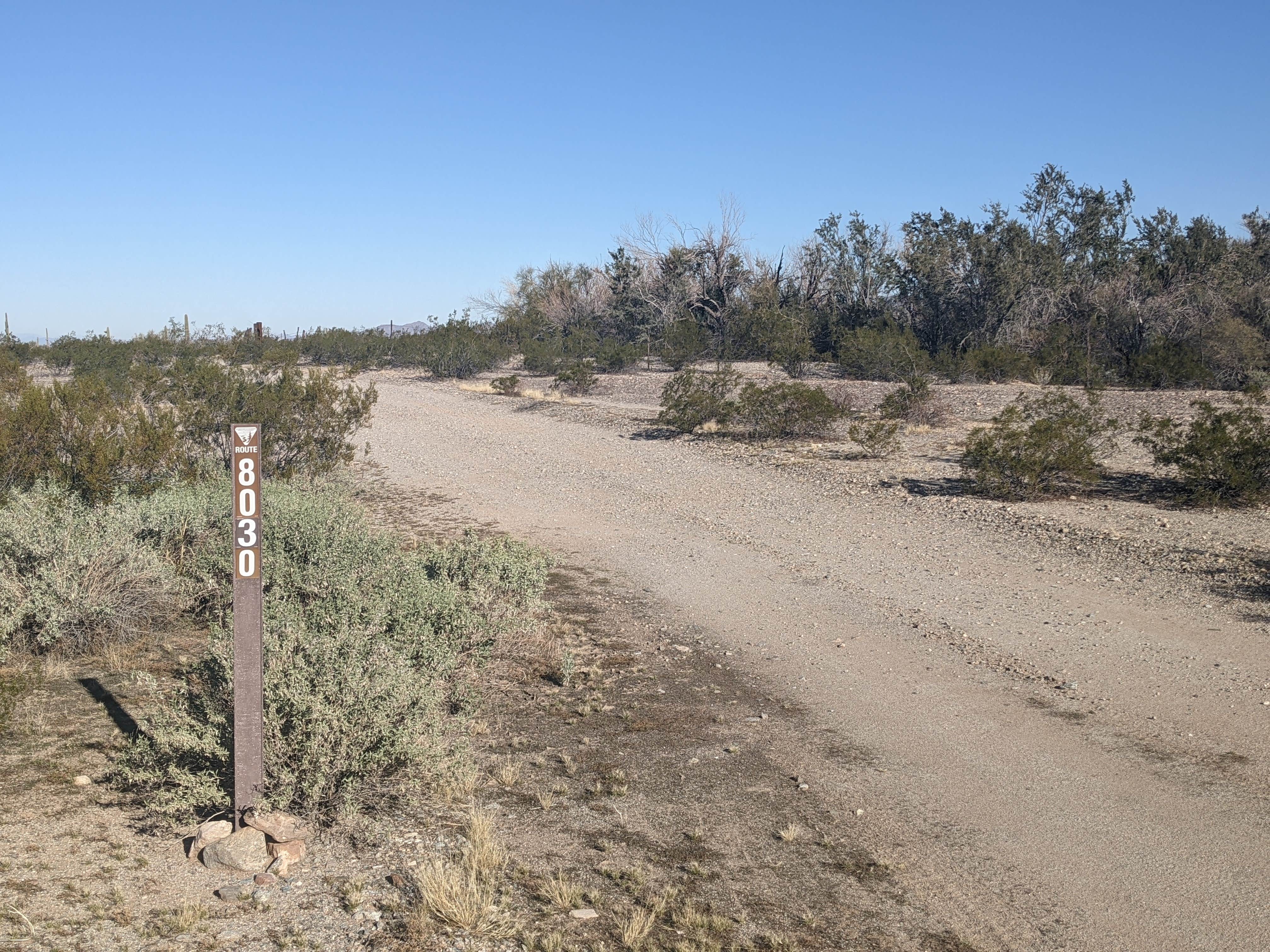 Camper submitted image from BLM Sonoran Desert National Monument - Road #8030 Access - 2