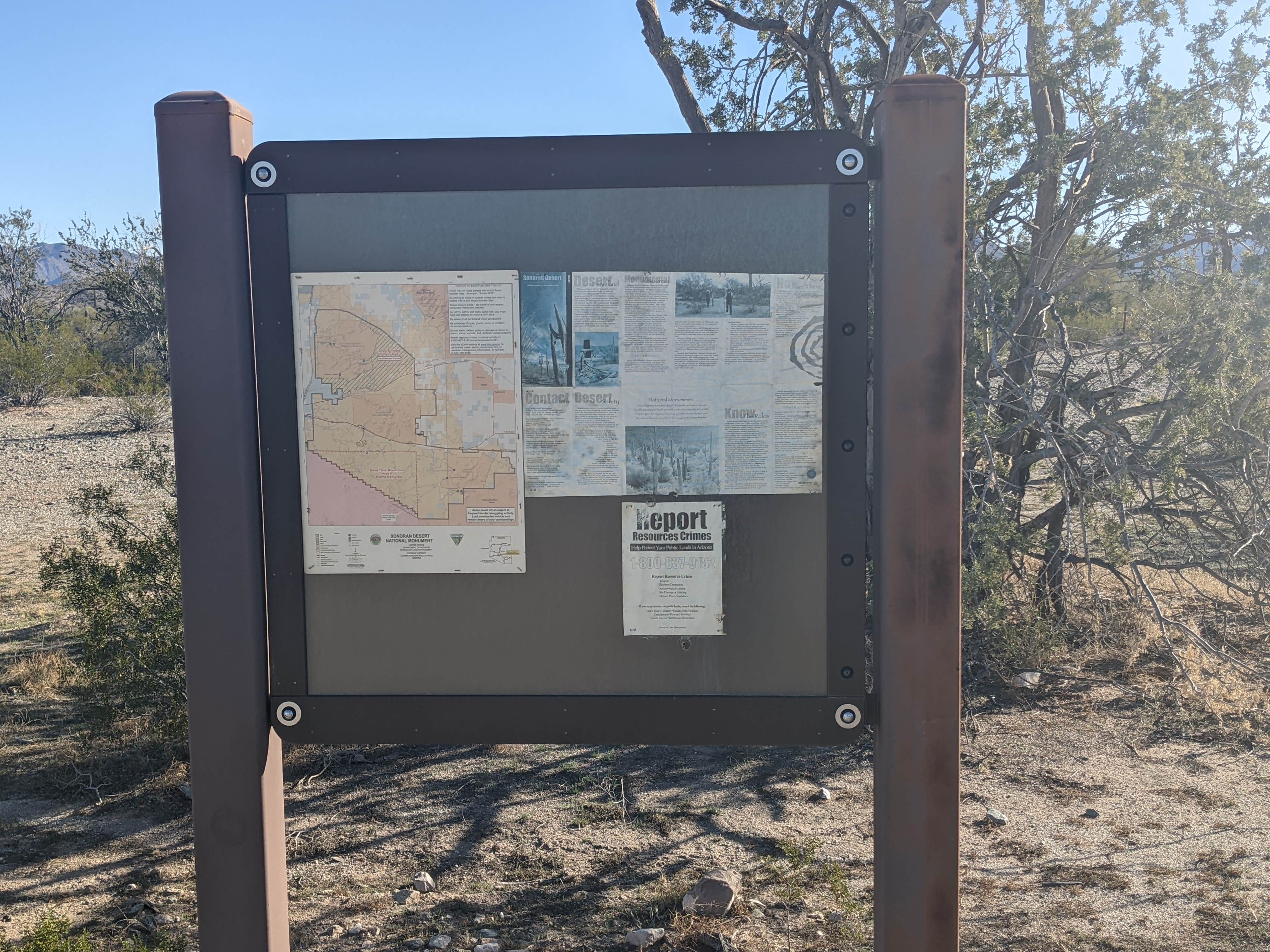 Camper-submitted photo at BLM Sonoran Desert National Monument - Road #8030 Access near Gila Bend, AZ