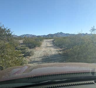 Camper-submitted photo from BLM Sonoran Desert National Monument - Road #8030 Access 