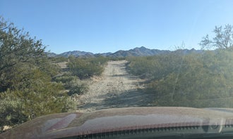 Camping near Augie's Quail Trail RV Park: BLM Sonoran Desert National Monument - Road #8030 Access , Gila Bend, Arizona