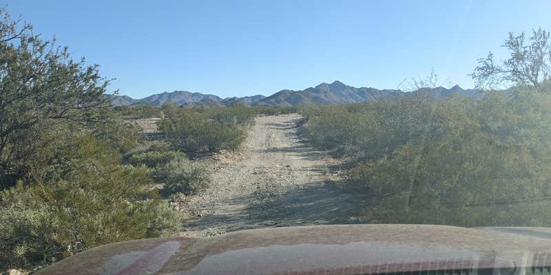 Camper submitted image from BLM Sonoran Desert National Monument - Road #8030 Access