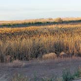 Review photo of Whitewater Draw Wildlife Area by Jeff H., January 22, 2022