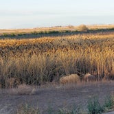 Review photo of Whitewater Draw Wildlife Area by Jeff H., January 22, 2022