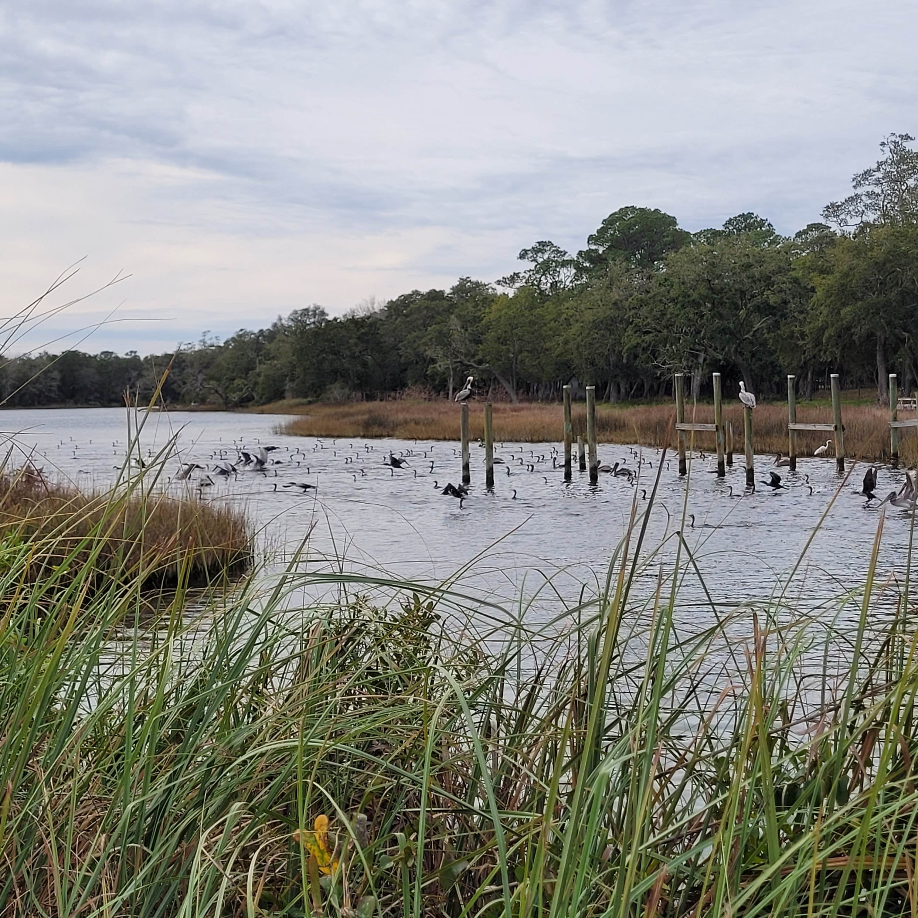 Eglin AFB Famcamp Postl Point Camping The Dyrt