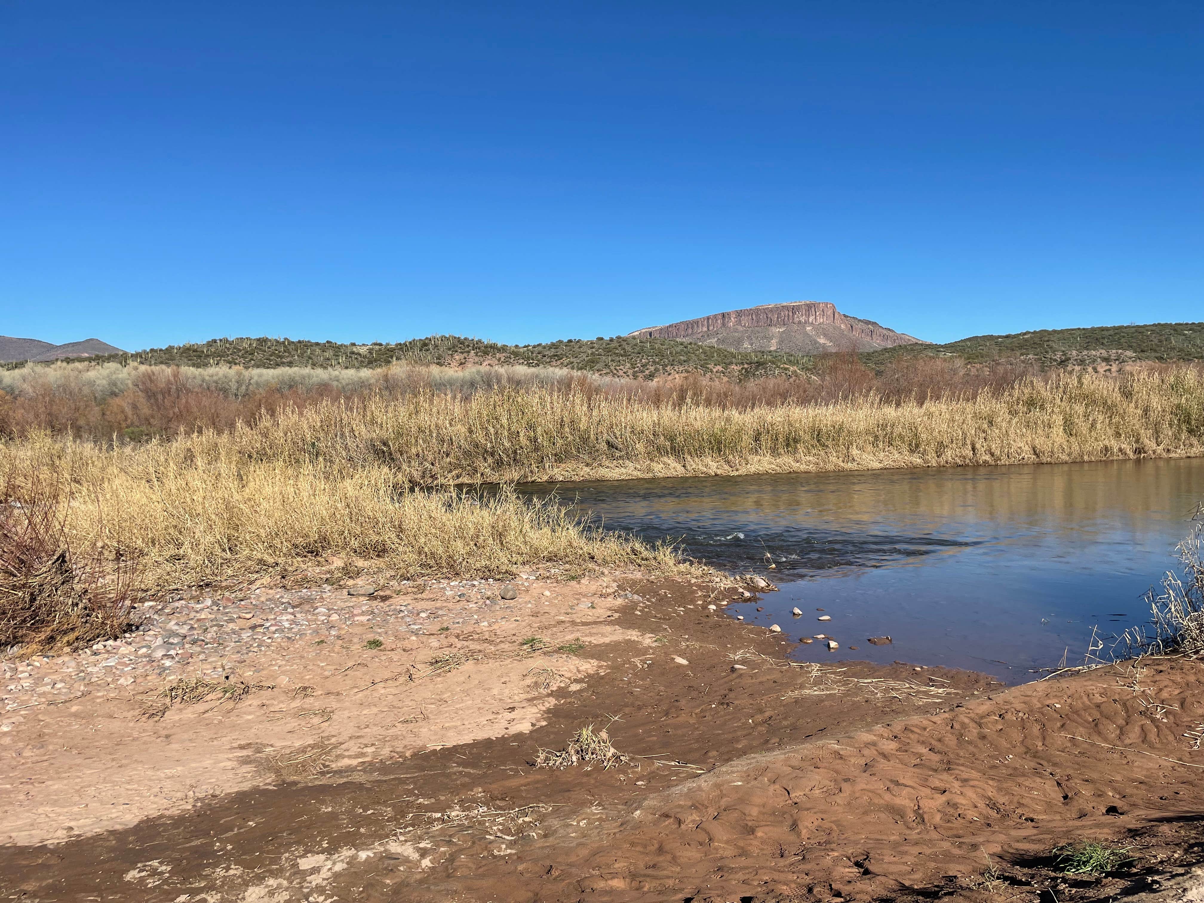 Camper-submitted photo at Diversion Dam Rafter Take-Out near Globe, AZ