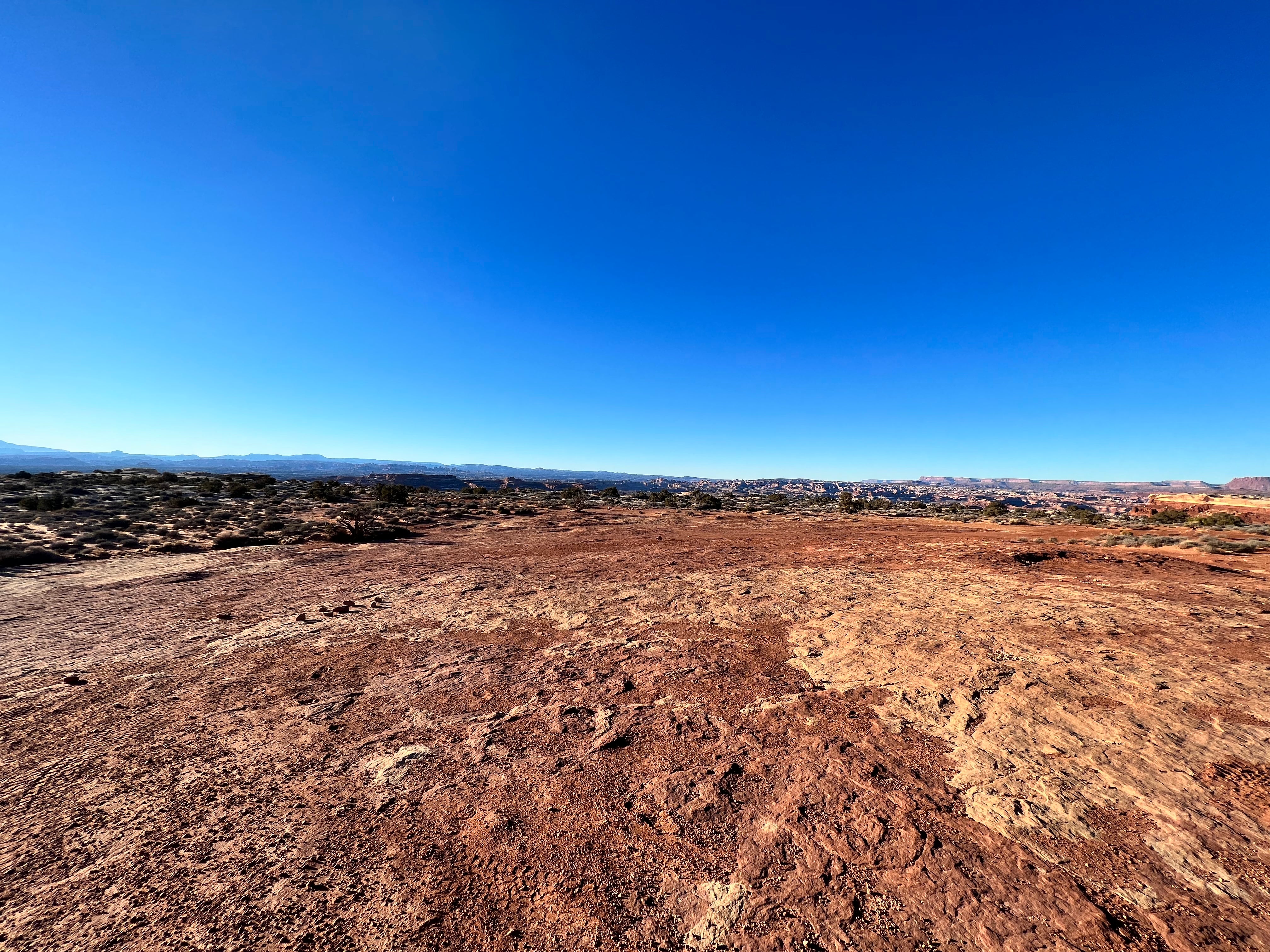 Camper submitted image from White Crack Backcountry Campsites — Canyonlands National Park - 1