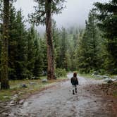 Review photo of Grandjean Campground — Sawtooth National Forest by Tabby P., July 9, 2018