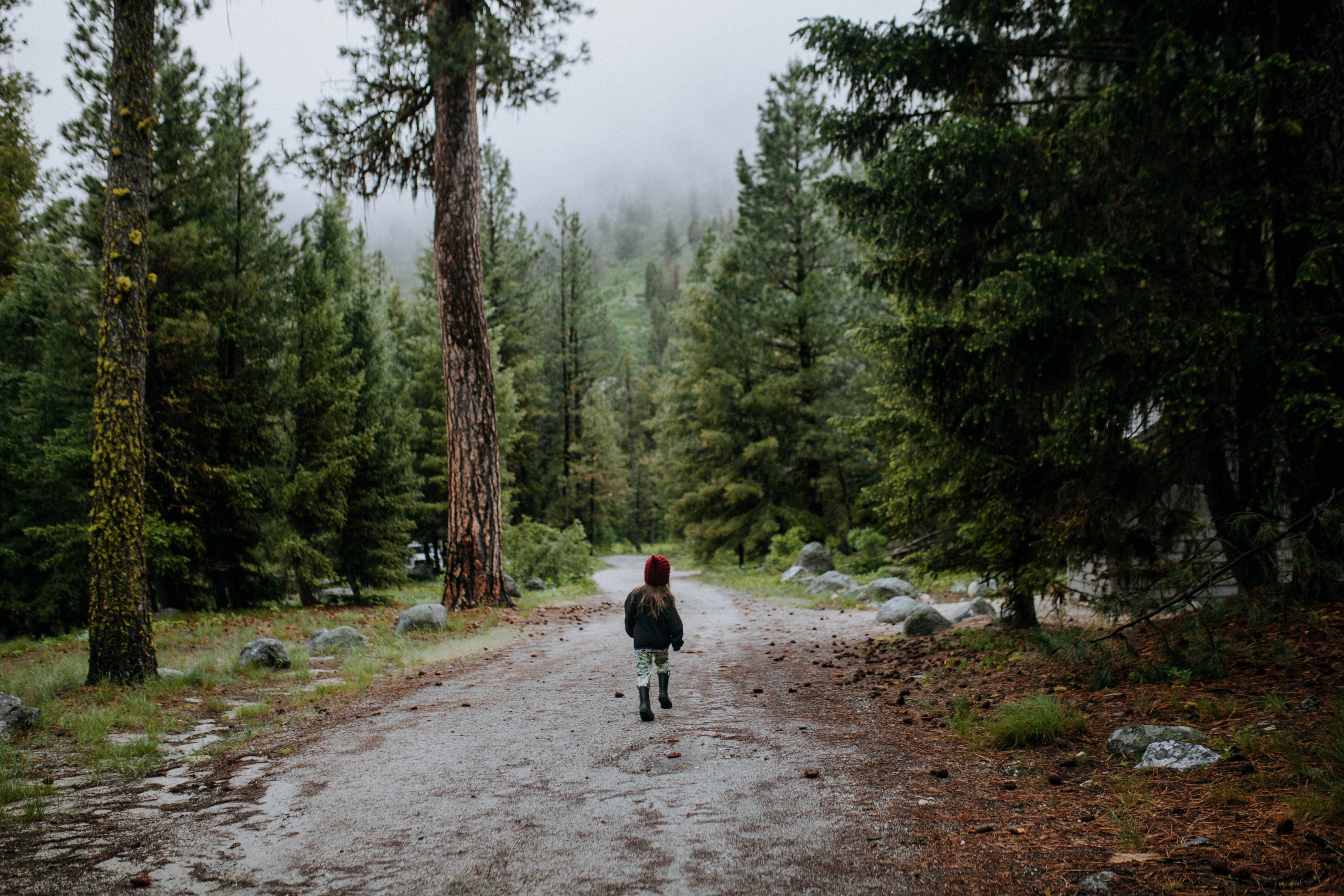 Camper submitted image from Grandjean Campground — Sawtooth National Forest - 4