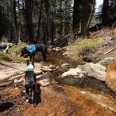 Review photo of Canyon View Group Sites — Kings Canyon National Park by DEREK B., June 9, 2015