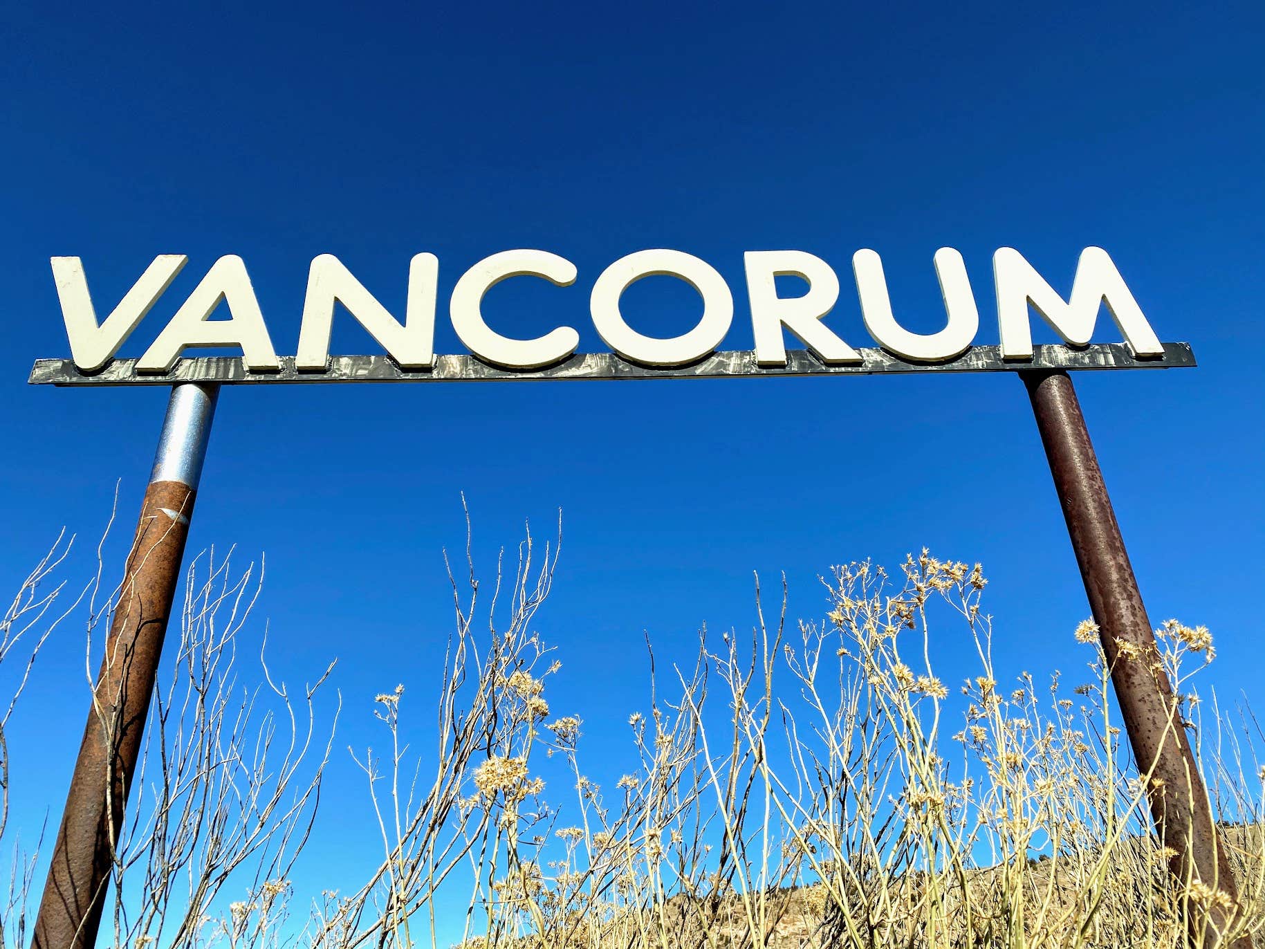 Camper-submitted photo at Camp V near Nucla, CO