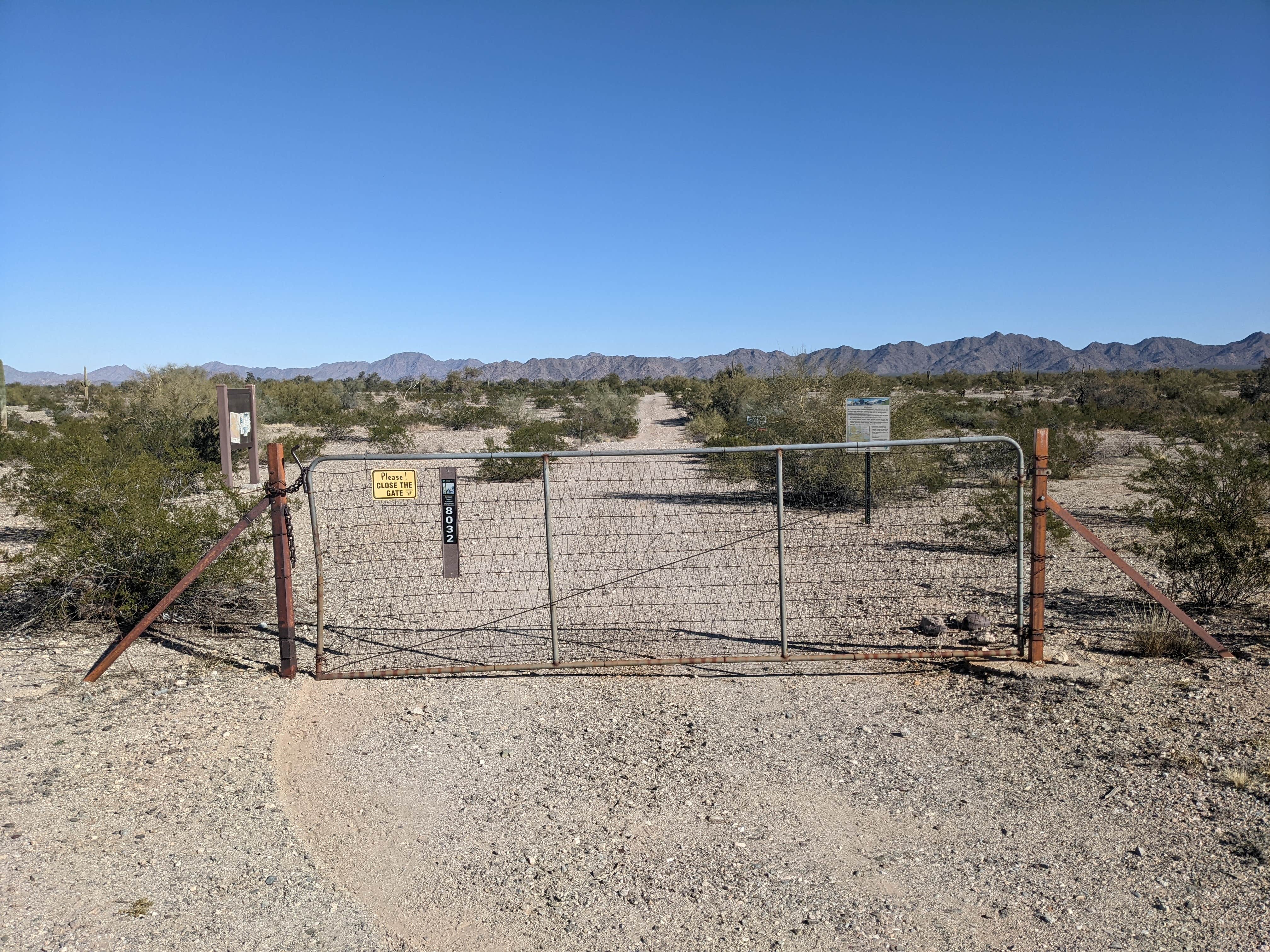 Camper submitted image from BLM Sonoran Desert National Monument - BLM road #8032 access - 2