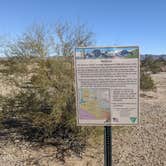 Review photo of BLM Sonoran Desert National Monument - BLM road #8032 access by Greg L., January 28, 2022