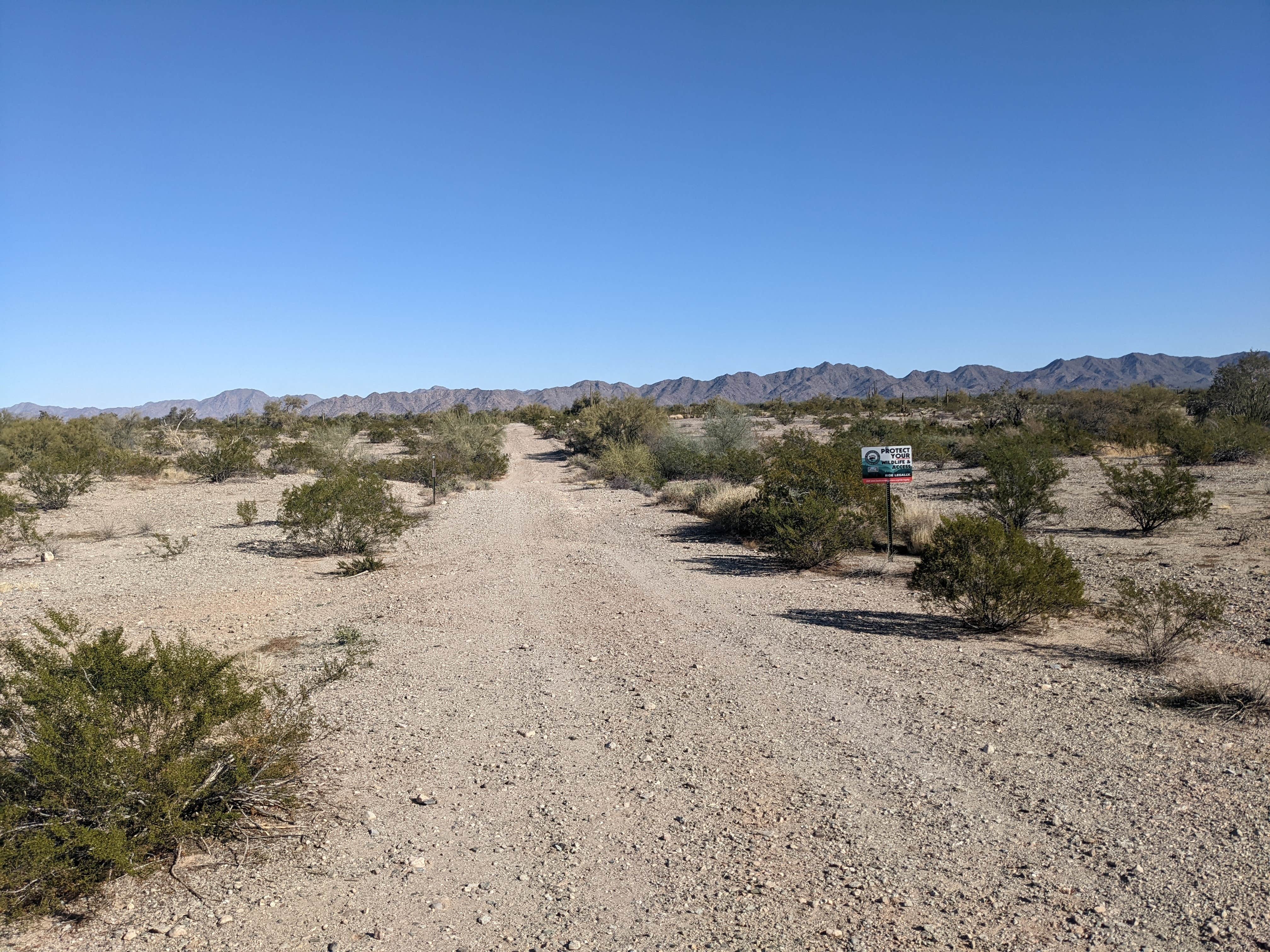 Camper-submitted photo at BLM Sonoran Desert National Monument - BLM road #8032 access near Ajo, AZ