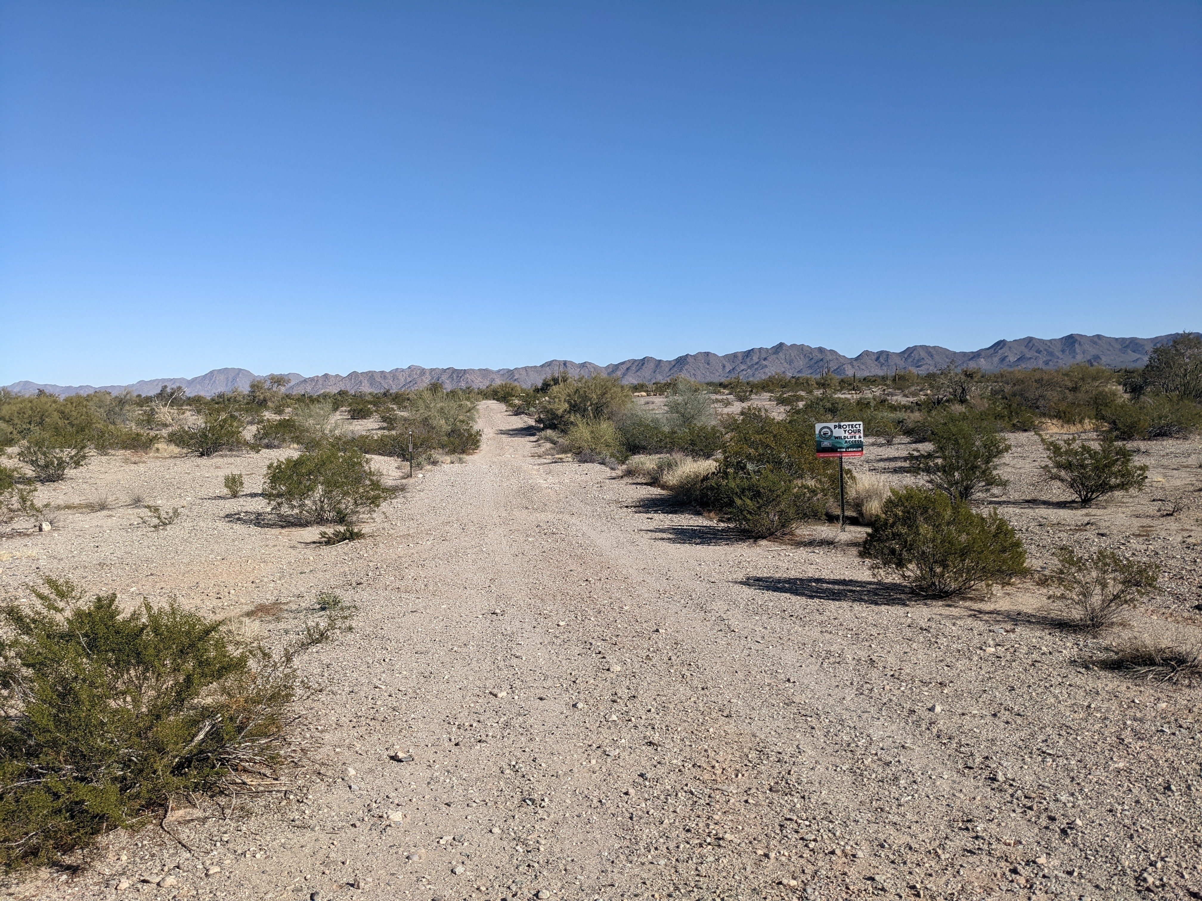 Camper submitted image from BLM Sonoran Desert National Monument - BLM road #8032 access - 3
