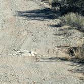 Review photo of BLM Sonoran Desert National Monument - BLM road #8032 access by Greg L., January 28, 2022