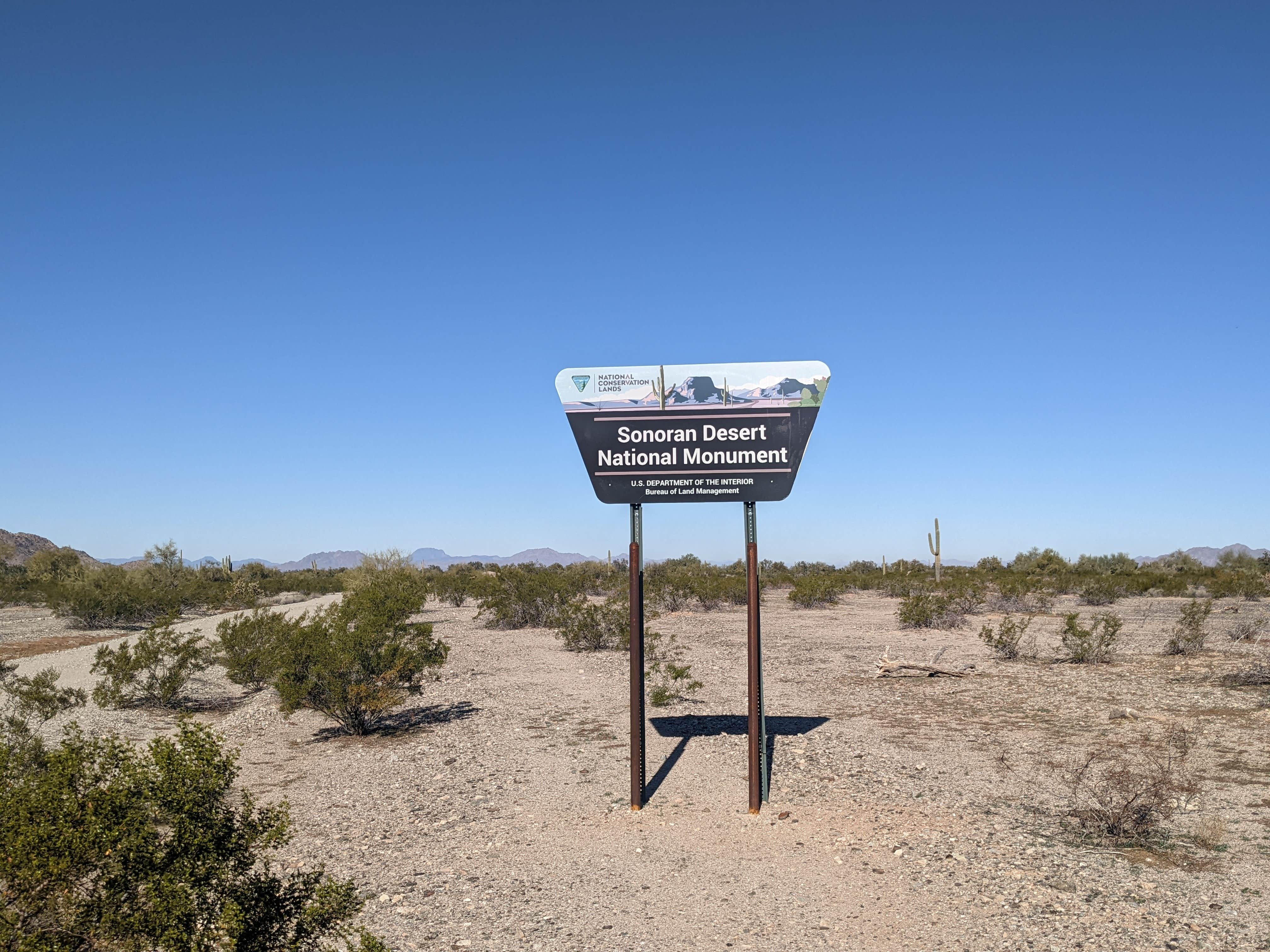 Camper submitted image from BLM Sonoran Desert National Monument - BLM road #8032 access - 4