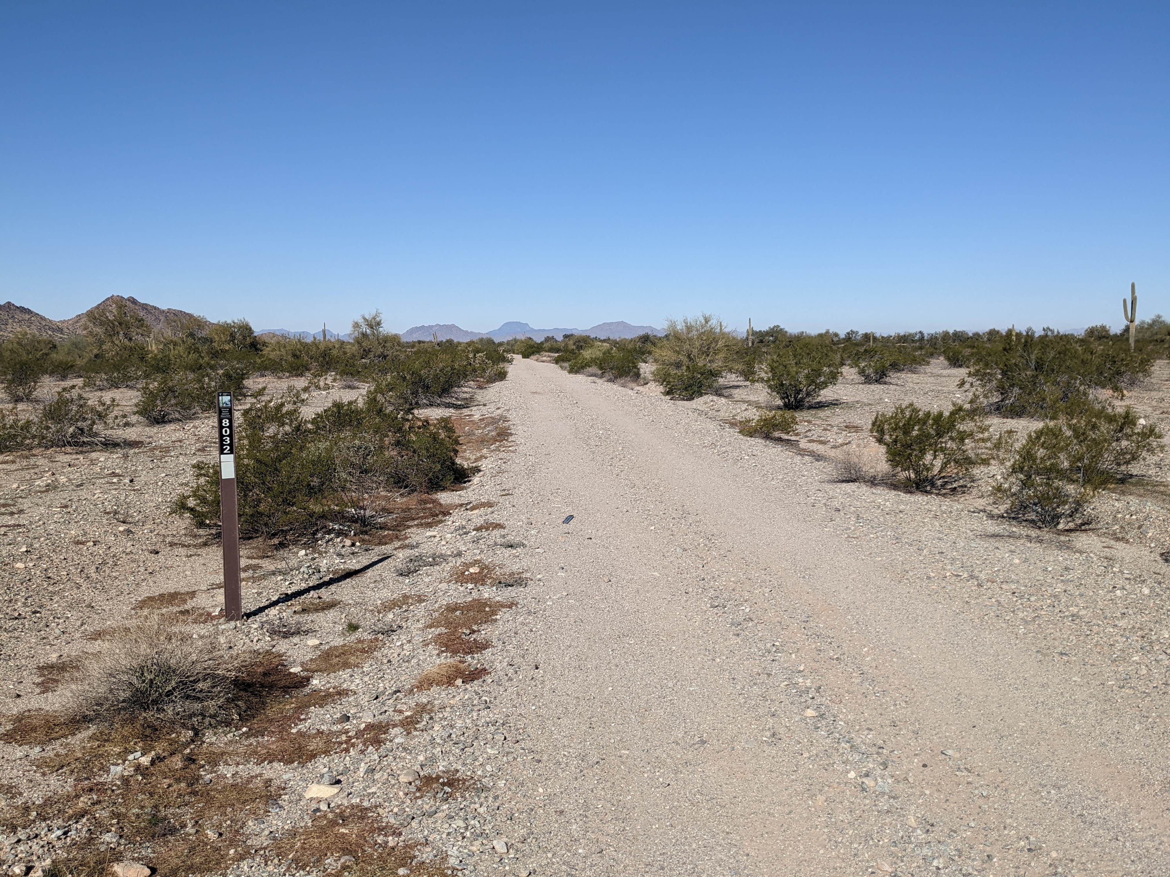 Camper-submitted photo at BLM Sonoran Desert National Monument - BLM road #8032 access near Ajo, AZ