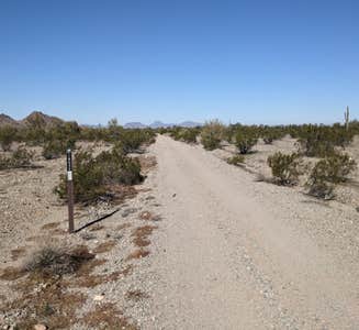 Camper-submitted photo from BLM Sonoran Desert National Monument - BLM road #8032 access