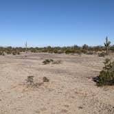 Review photo of BLM Sonoran Desert National Monument - BLM road #8032 access by Greg L., January 28, 2022