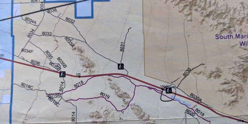 Camper submitted image from BLM Sonoran Desert National Monument - BLM road #8032 access