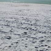 Review photo of Topsail Hill Preserve State Park Campground by Jerry J., January 28, 2022