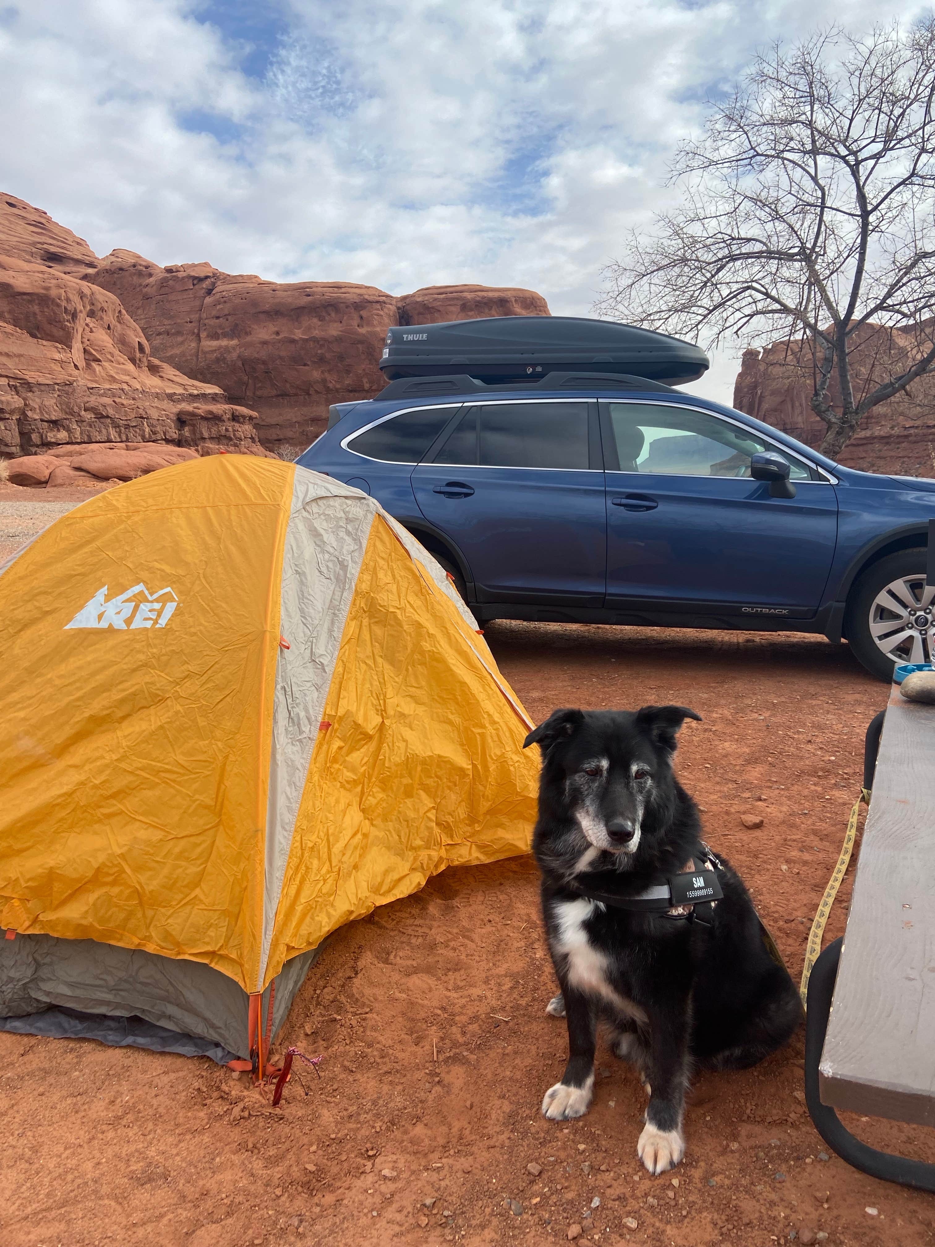 Daphne C.'s photo at Gouldings RV and Campground near Oljato-Monument Valley, UT