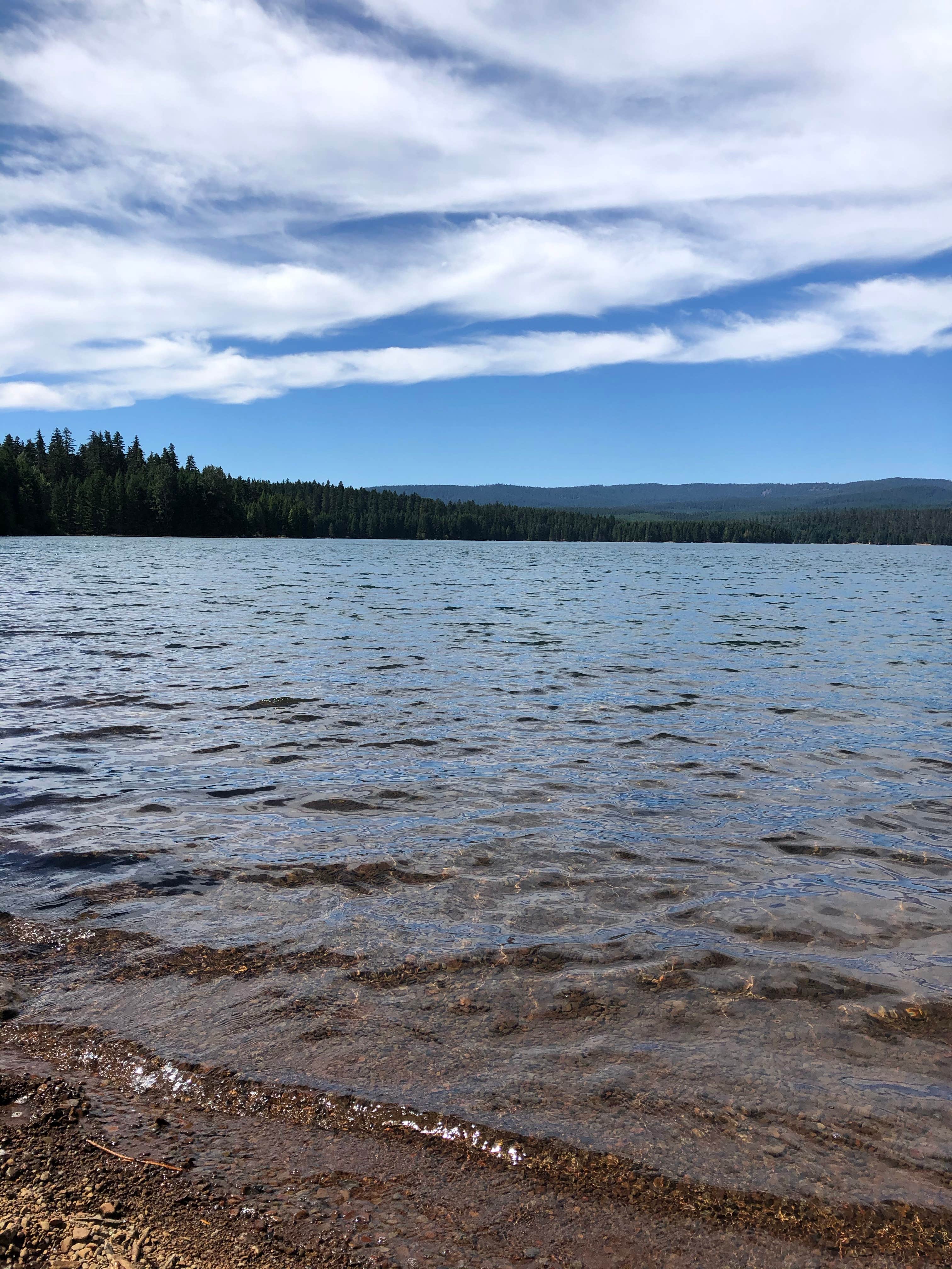 Camper-submitted photo at North Arm Campground near Mt. Hood National Forest