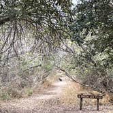 Review photo of Choke Canyon State Park Campground by Al L., January 29, 2022