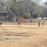 Review photo of Choke Canyon State Park Campground by Al L., January 29, 2022