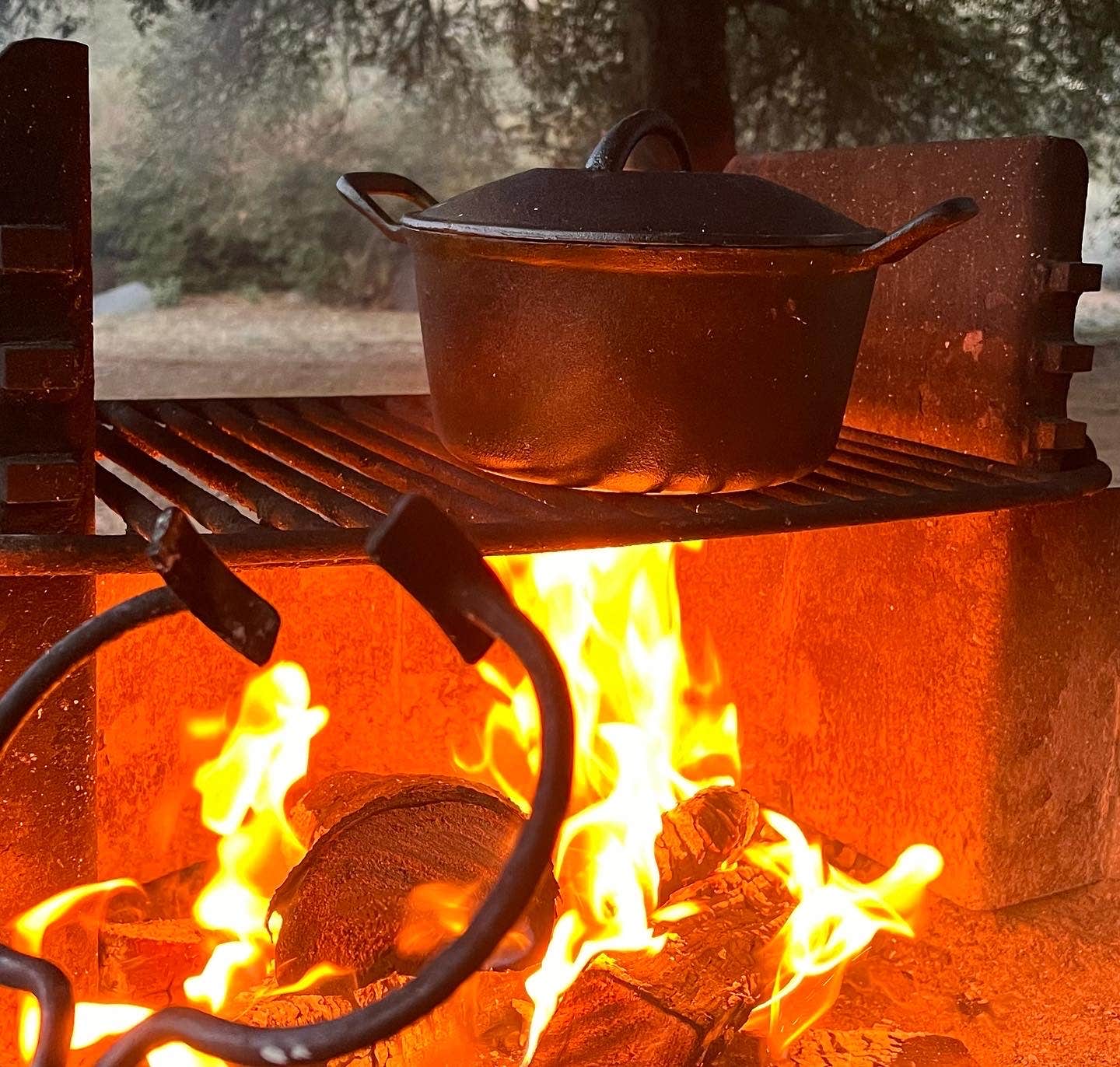 Camping near Lark Canyon Campground: Cibbets Flat Campground, Pine Valley, California