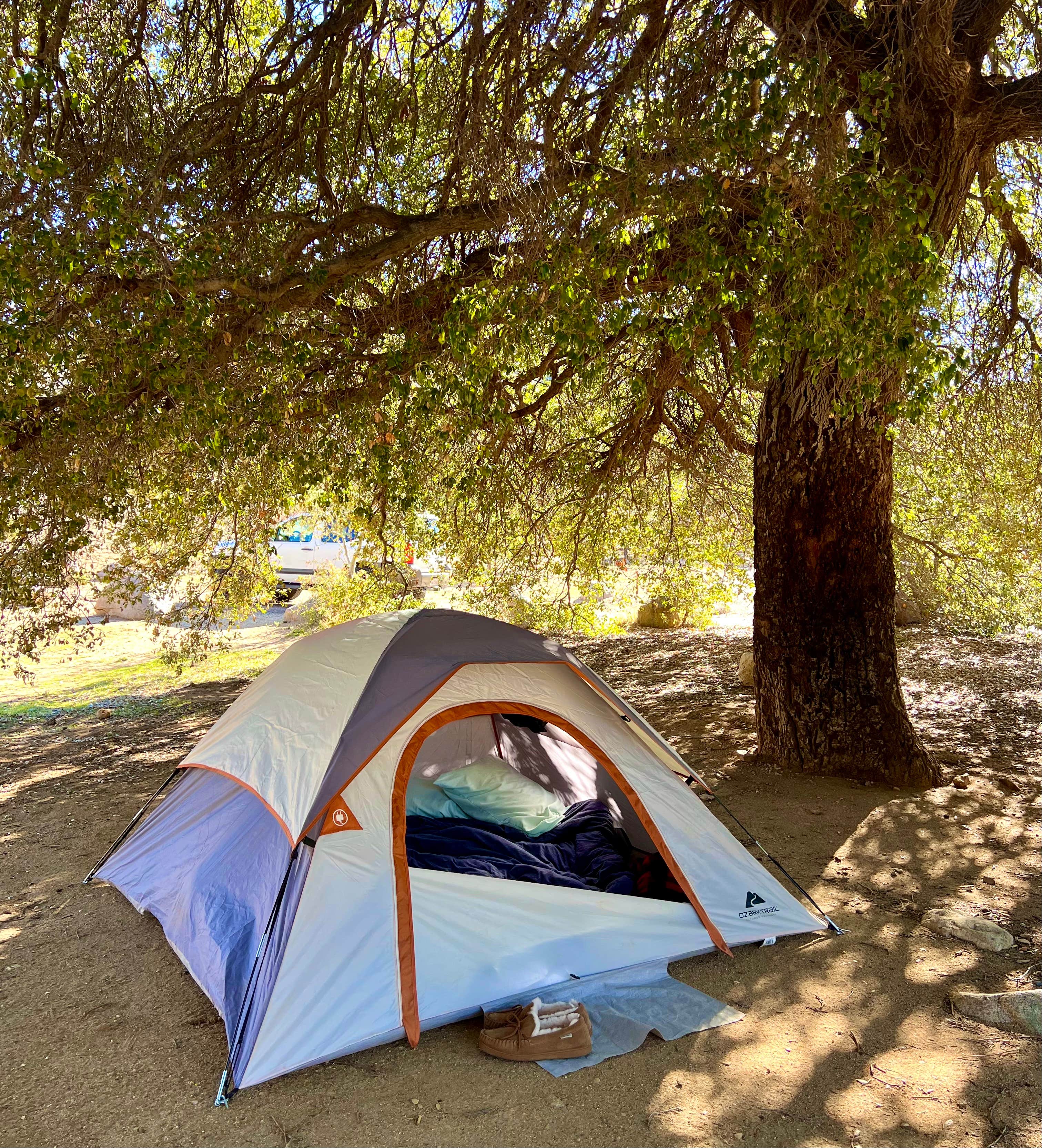 Camper-submitted photo at Cibbets Flat Campground near Campo, CA