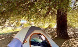 Robert W.'s photo at Cibbets Flat Campground near Ocotillo, CA