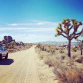 Review photo of Cottonwood Campground — Joshua Tree National Park by Robert  W., January 29, 2022