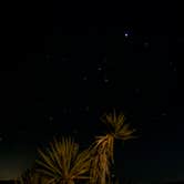 Review photo of Cottonwood Campground — Joshua Tree National Park by Robert  W., January 29, 2022