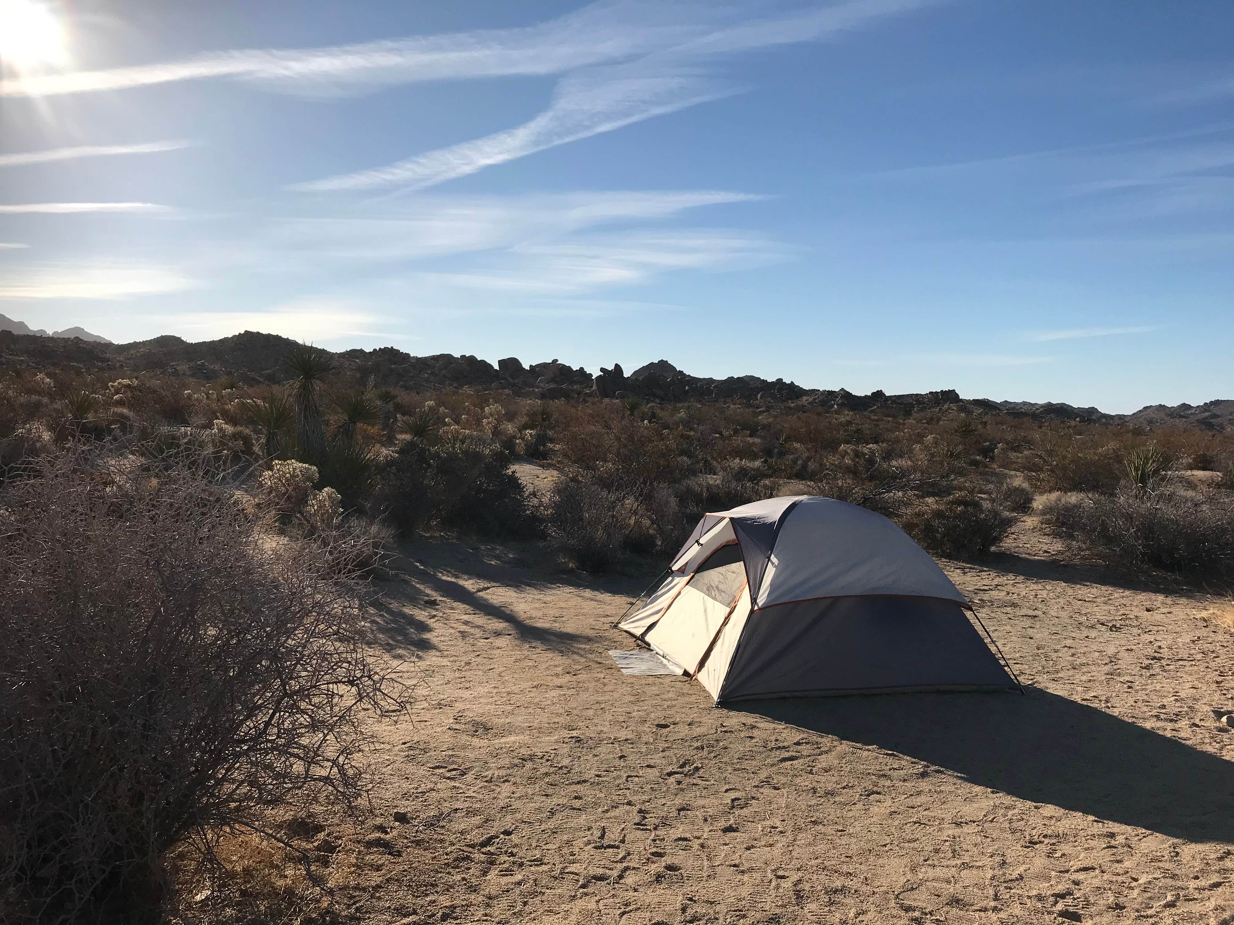 Robert  W.'s photo at Cottonwood Campground — Joshua Tree National Park near Joshua Tree National Park