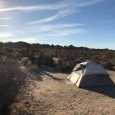 Review photo of Cottonwood Campground — Joshua Tree National Park by Robert  W., January 29, 2022