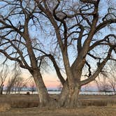 Review photo of Patagonia Lake State Park Campground by John B., January 29, 2022