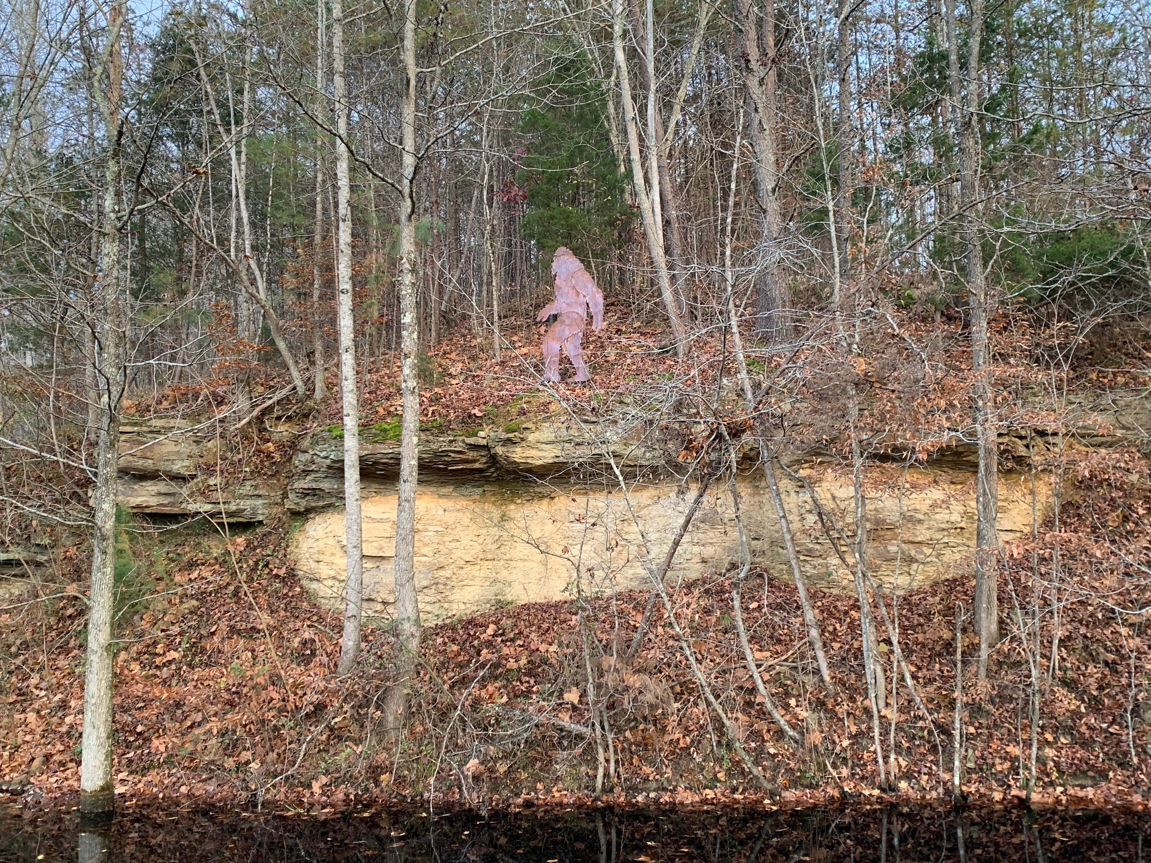 Camper-submitted photo at Halfmoon Camp Ground near Lake City, TN