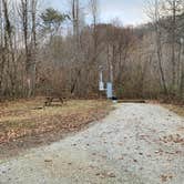 Review photo of Halfmoon Camp Ground by Steve V., December 30, 2021